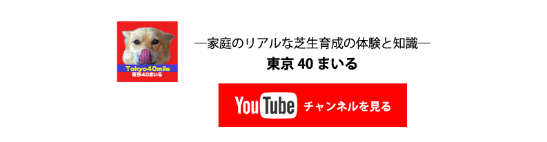 チャンネルを見る