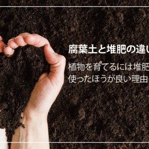 土壌診断のph ペーハー って 健康な土を見極めよう アルム農材 土壌診断のph ペーハー って 健康な土を見極めよう アルム農材