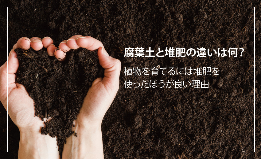 腐葉土と堆肥の違いは何 アルム農材