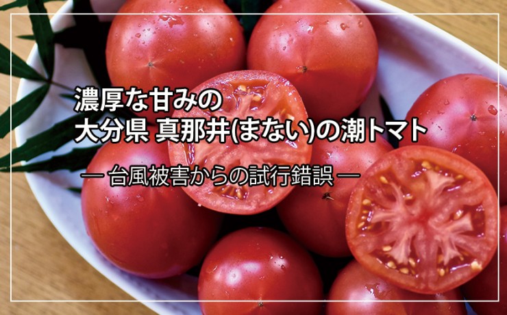 潮トマト