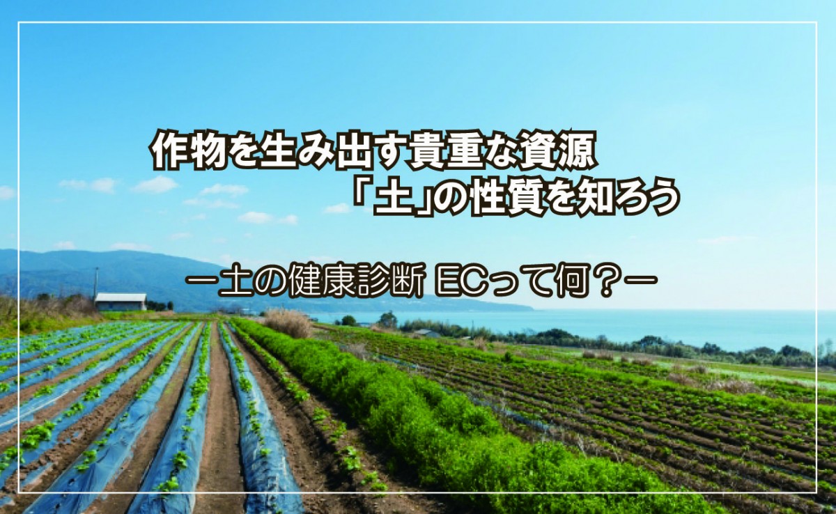 作物を生み出す貴重な資源 土 の性質を知ろう 土の健康診断ecって何 アルム農材