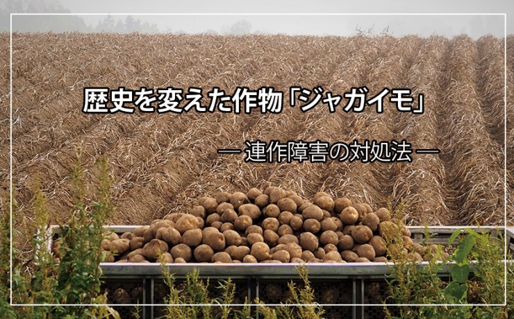 Hirorinalm アルム農材 Hirorinalm アルム農材