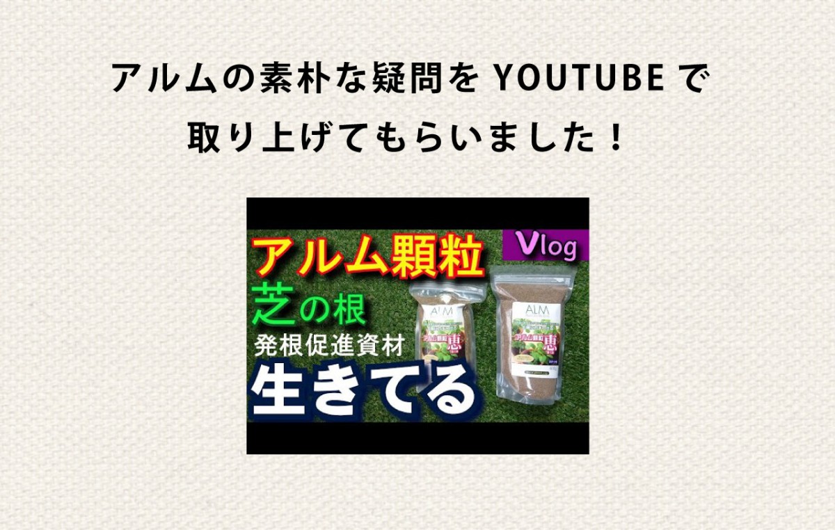 アル厶の素朴な疑問をYOUTUBEで 取り上げてもらいました!