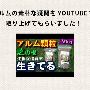 アル厶の素朴な疑問をYOUTUBEで 取り上げてもらいました!