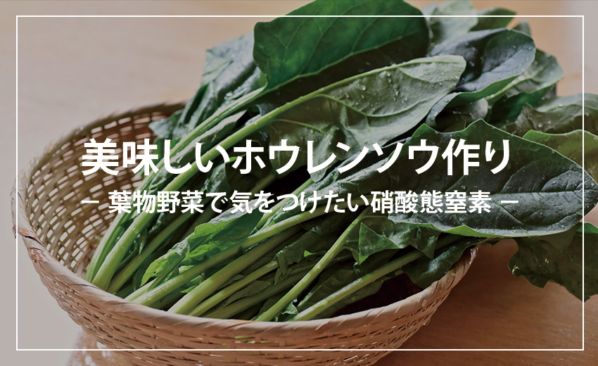 美味しいホウレンソウ作り 葉物野菜で気をつけたい硝酸態窒素 アルム農材